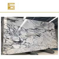 Italy Arabescato Corchia White Marble  Slas Flower black veins white marble tiles